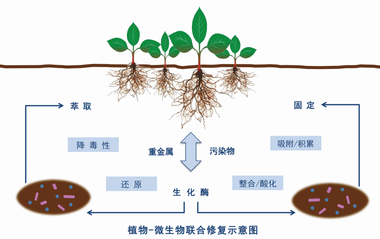 水2.png